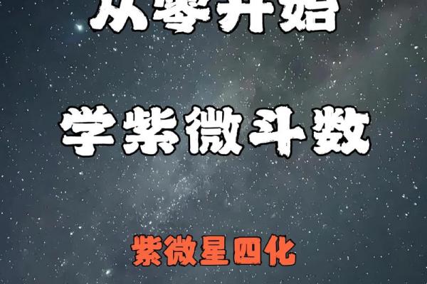 紫微斗数紫薇星 紫微斗数紫薇星