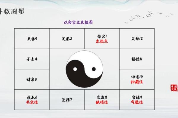 紫薇斗数阴阳属性