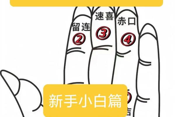 算命如何说六指 算命如何说六指