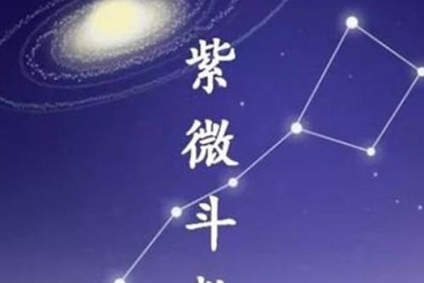 紫薇斗数看样貌