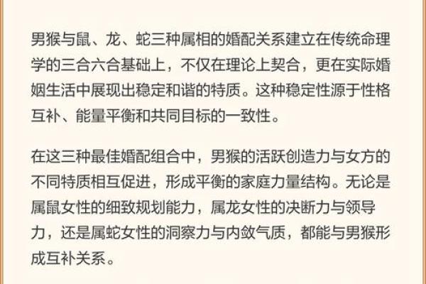 生肖算命婚姻，十二生肖什么属相和龙最配