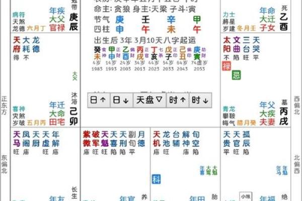 怎么排紫薇斗数