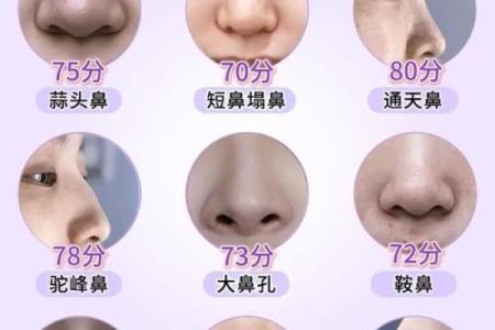 鼻子八字型特征及处理技巧！