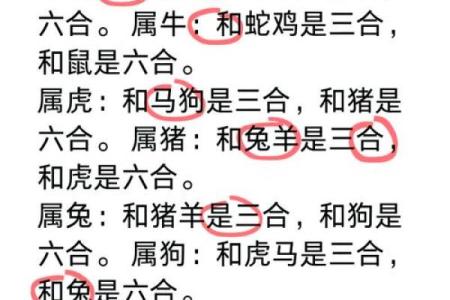 属狗和属牛的八字合吗