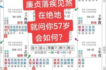 紫薇斗数官方网