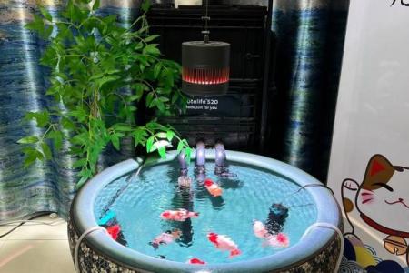 鱼缸的风水妙用