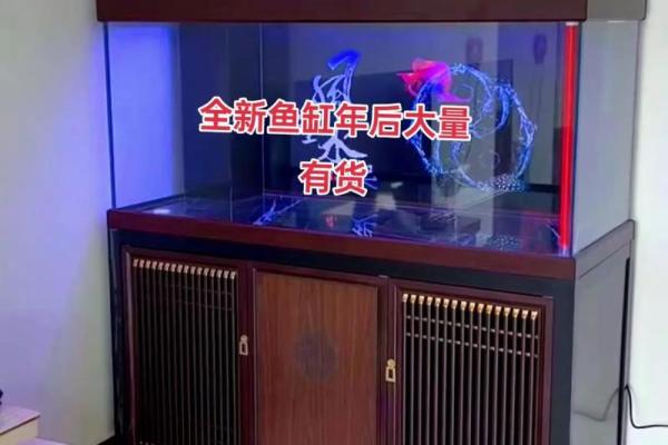 家居风水鱼缸的摆放 风水鱼养几条