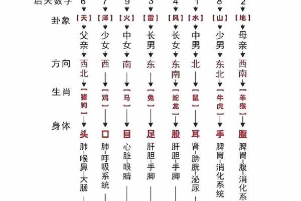 中华周易免费算命网