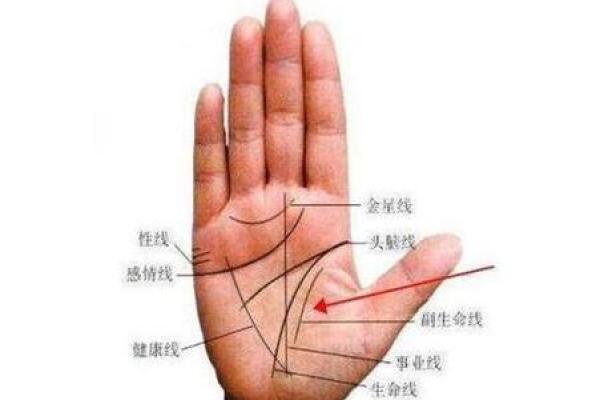 男人左手手纹算命图解 男人左手手相