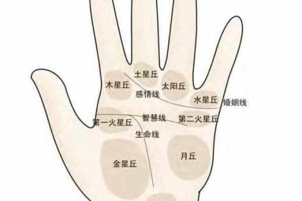 男人左手手纹算命图解 男人左手手相
