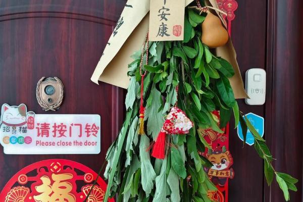 艾叶干了还能挂门上吗还有风水效果吗 艾叶干了还能挂门上吗还有风水效果吗