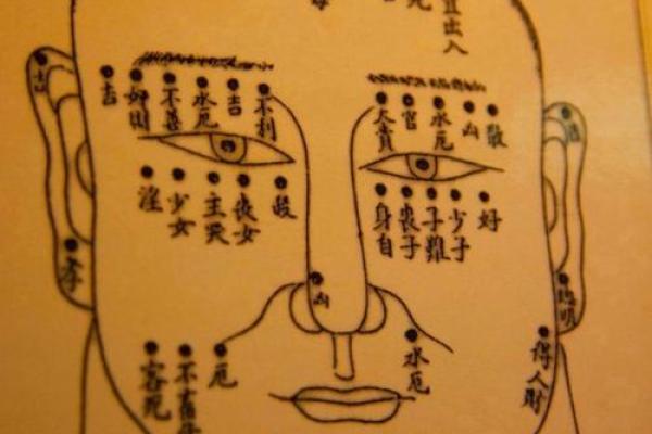 全面解析:胎记算命图解 全面解析:胎记算命图解