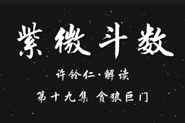 紫薇斗数的巨门