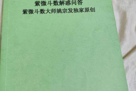 灵机紫薇斗数大师