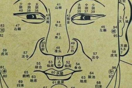 人中看相算命图解大全