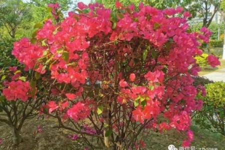 【八字详解】揭秘家乡发展趋势，看你是否能早日腾飞！