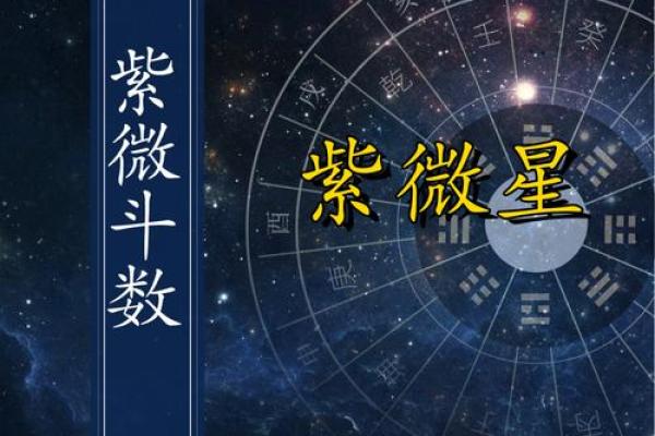 紫微斗数色星 紫微斗数颜色？
