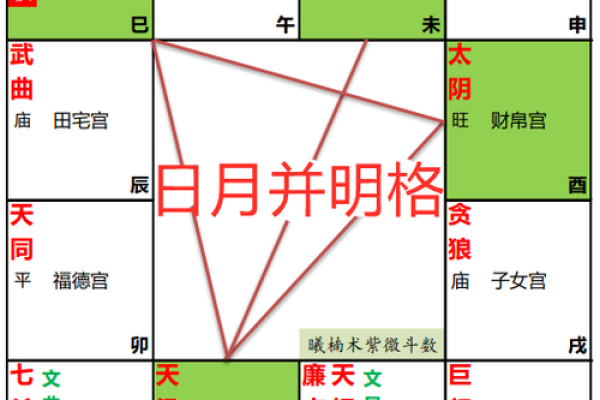 紫薇斗数太阳入命宫