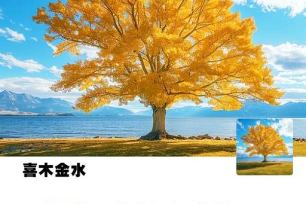 风水上最快聚财的方法有哪些- 风水上最快聚财的方法有哪些-