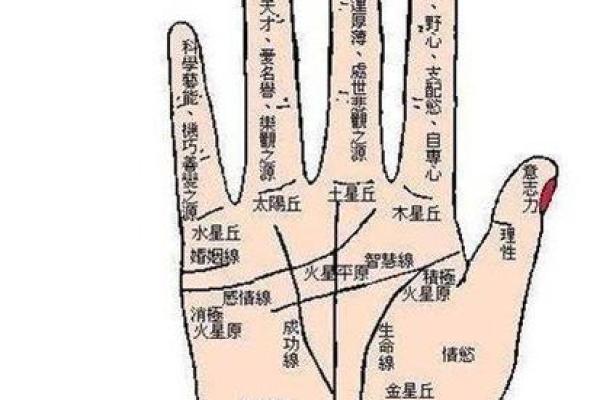 手相算命，从手相看你聪明度有多高？