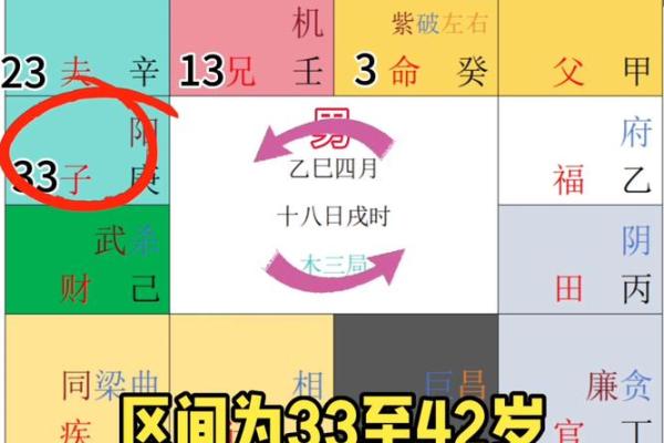 紫薇斗数流分盘