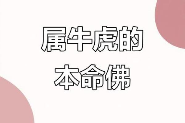 周易算命属牛虎 周易算命属牛虎