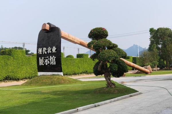 漳州平和算命准吗