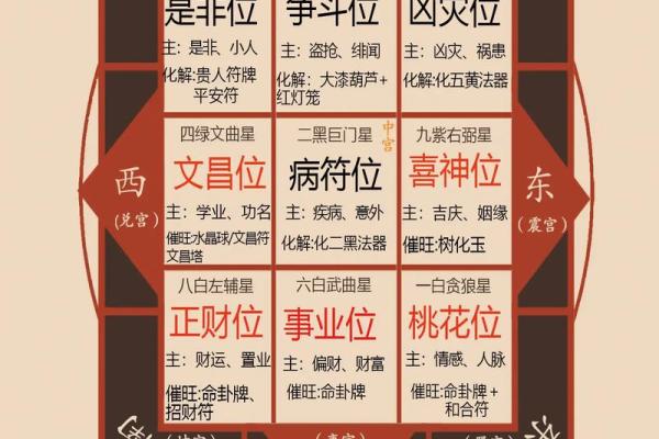 八字大家属于哪个生肖