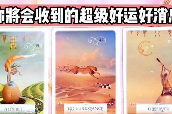 塔罗牌测试五月大家将拥有啥好运？