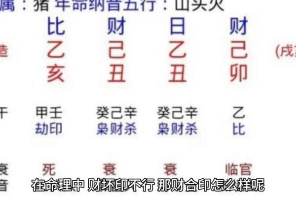 八字财官印全无食伤
