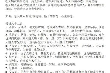 从事艺术紫薇斗数