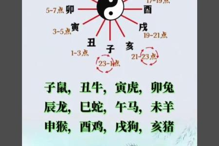 周易算命属牛虎