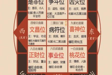 八字大家属于哪个生肖