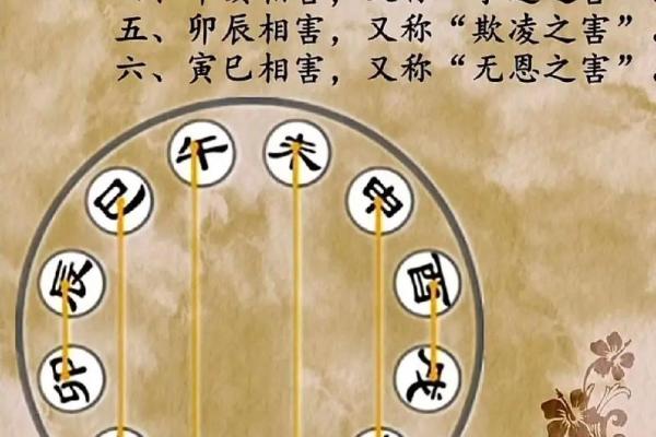 鼎易堂：八字中刑冲合化的应用