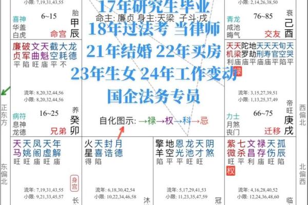 紫薇斗数文案视频的简单介绍