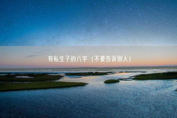 八字私生子