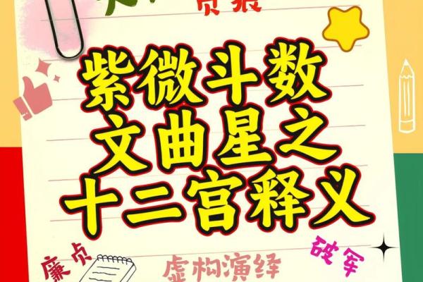 紫薇斗数文曲旺