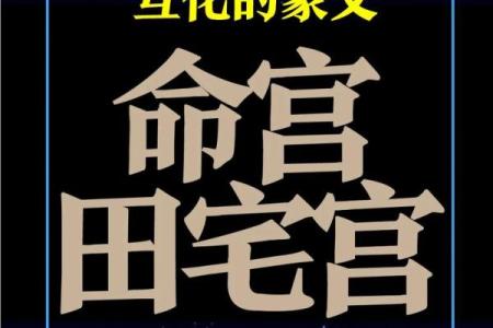 紫薇斗数蜚廉星