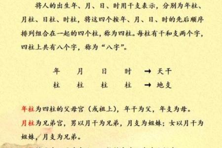 2024年12月4日农历八月二十九出生的孩子八字是什么