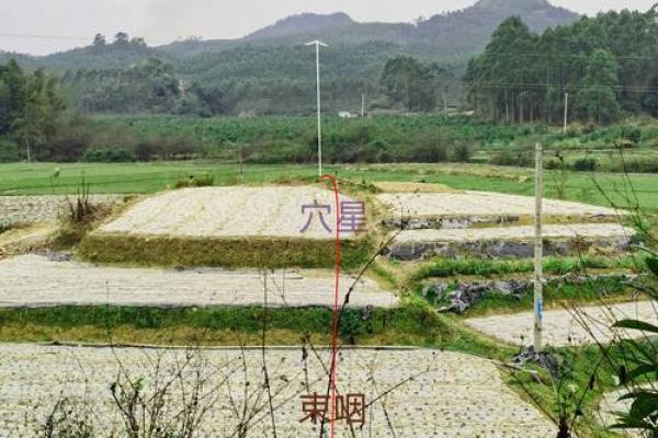 好的墓地风水是怎样