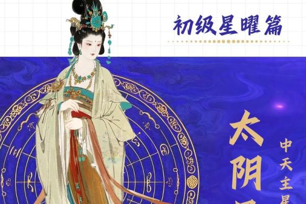 紫薇斗数夹主星