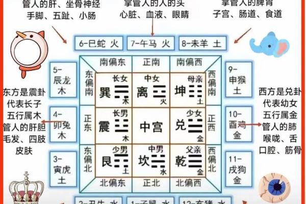 查询八字五行