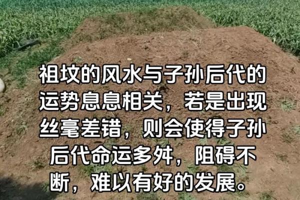 风水好的坟会有异象吗