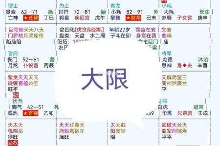 紫薇斗数初级入门