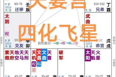 紫微斗数之财帛宫四化飞星,是什么意思？
