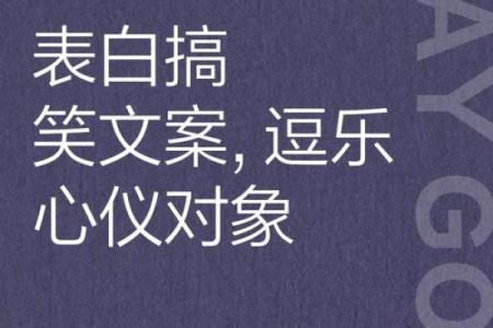 八字表白