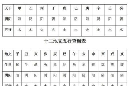 查询八字五行