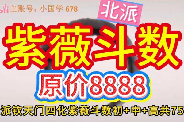 紫薇斗数视频合集