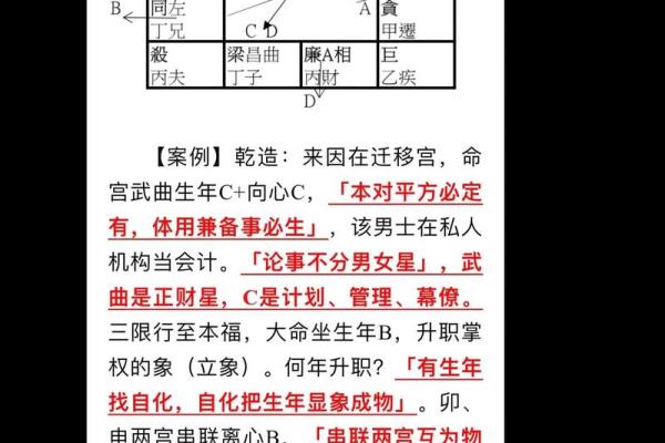 倪海厦紫薇斗数案例10