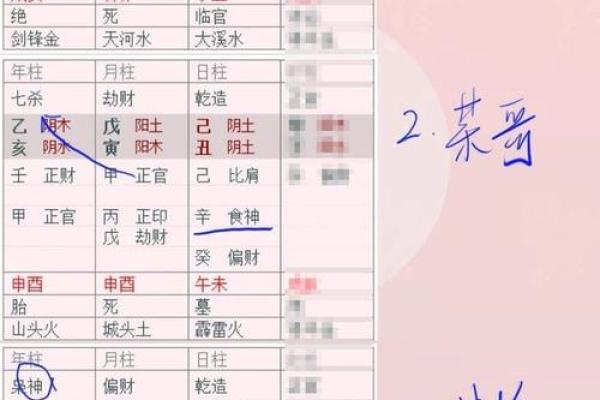 八字透与藏的意思